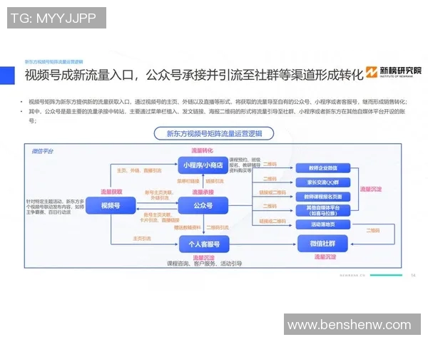 深度分析深圳篮球队的运营策略与市场推广模式